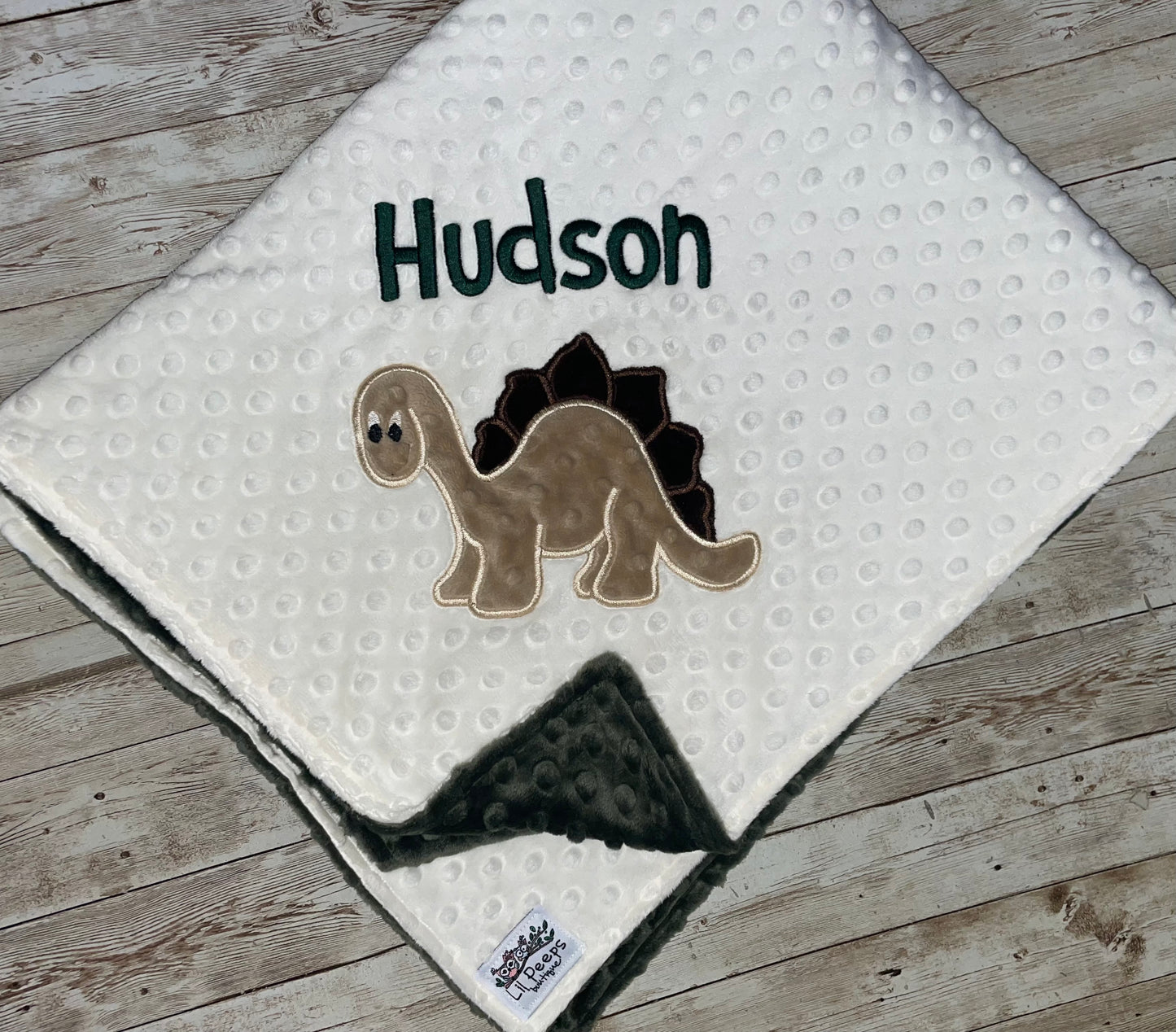 Personalized Dinosaur Minky Blanket