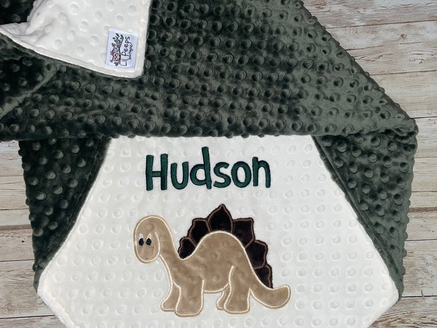 Personalized Dinosaur Minky Blanket