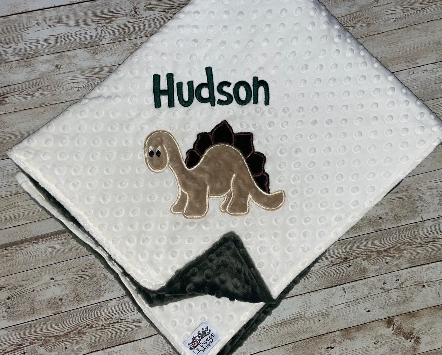 Personalized Dinosaur Minky Blanket